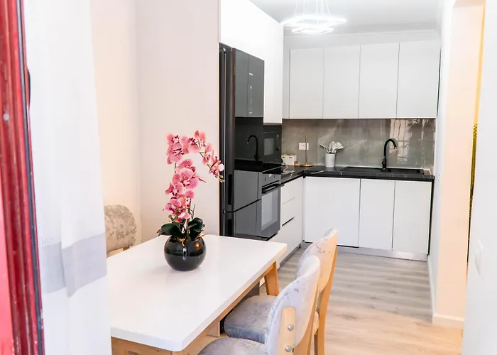 Signature 8 ティラナ