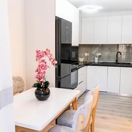 Signature 8 Τίρανα